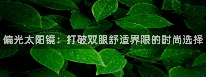 辉达娱乐app