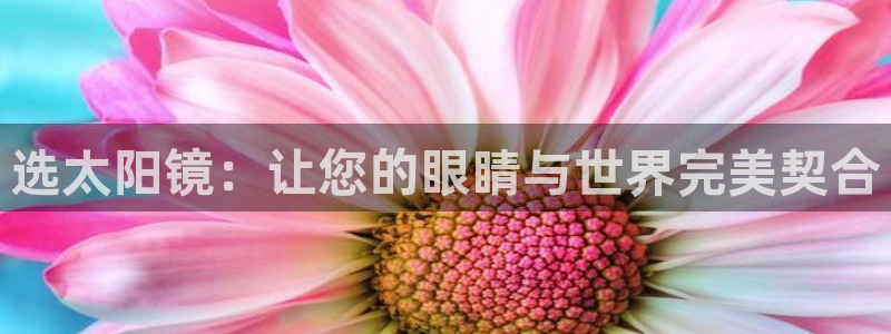 辉达娱乐加q75775稳定