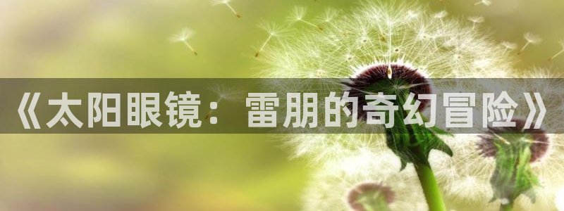 辉达娱乐丶75505