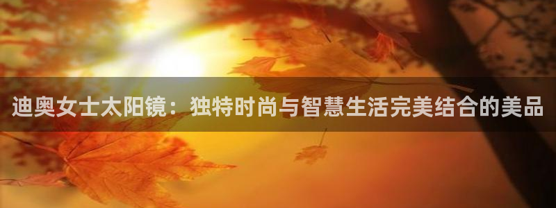 辉达娱乐多少年