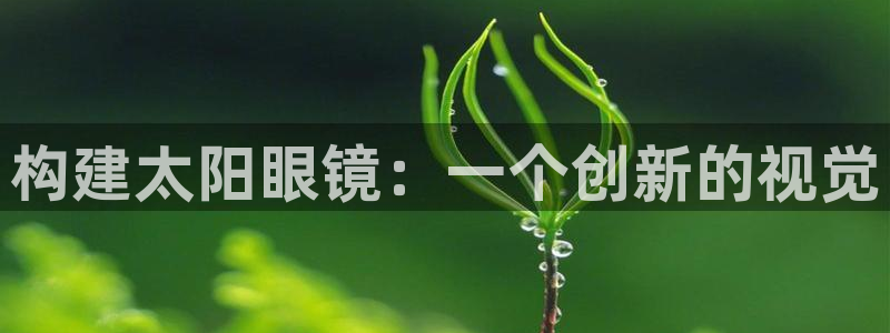 辉达娱乐丶39444