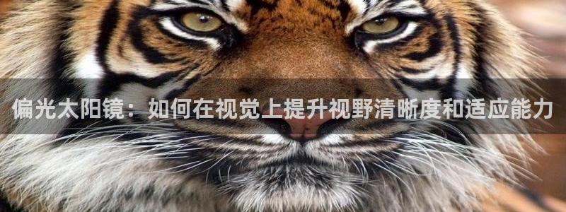 辉达娱乐分红