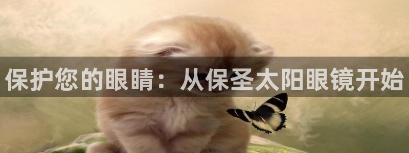 代理辉达娱乐平台