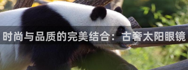 辉达娱乐彳75775